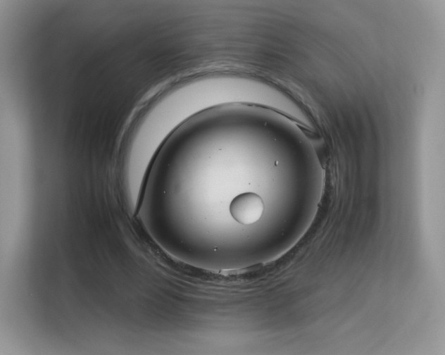 X0000113560488200909251101