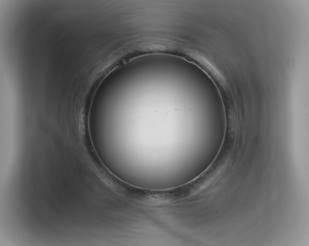 X0000113560489200909251101