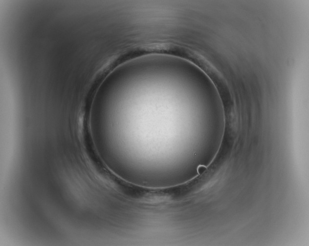 X0000113560491200909251101