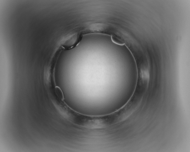 X0000113560492200909251101