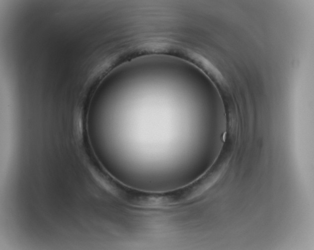 X0000113560493200909251101