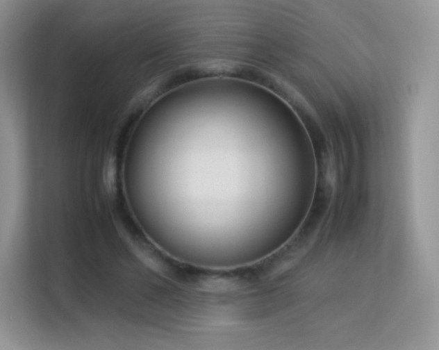 X0000113560494200909251101