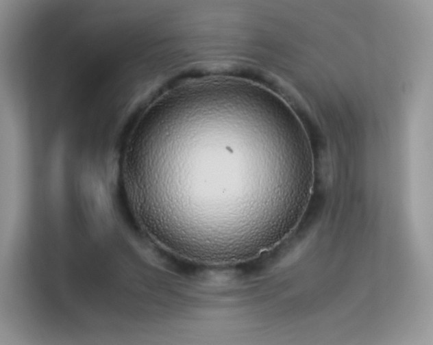 X0000113560495200909251101