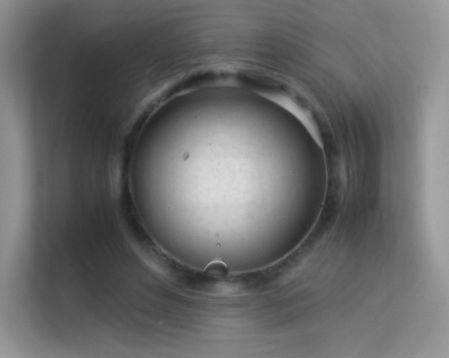 X0000113560496200909251101