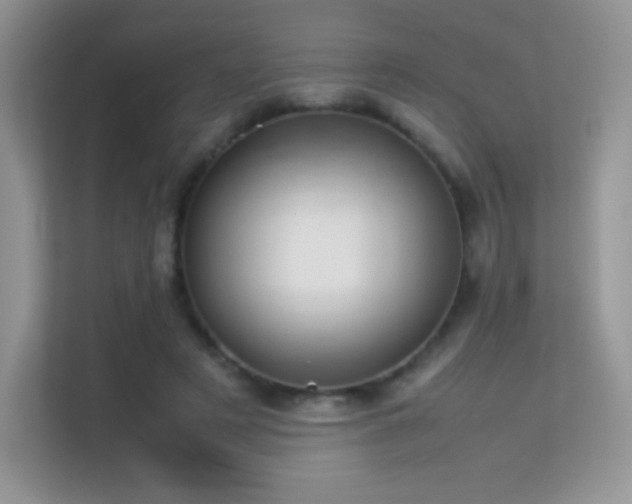X0000113560497200909251101