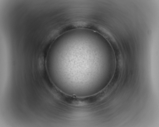 X0000113560498200909251101