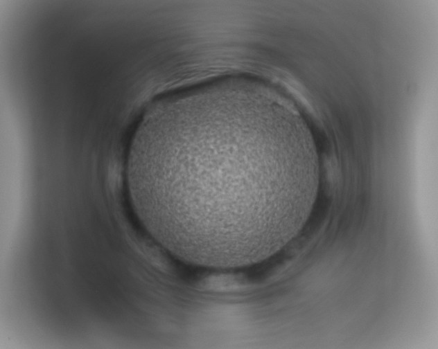 X0000113560499200909251101