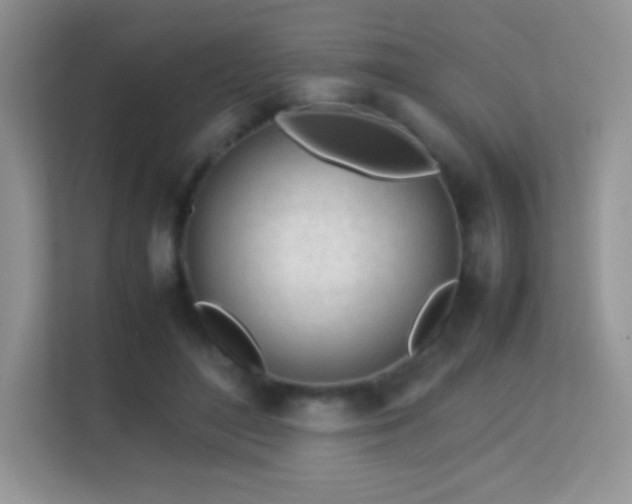 X0000113560500200909251101