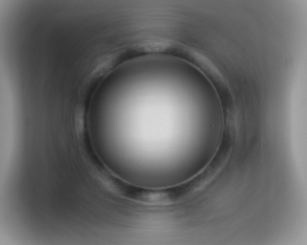 X0000113560501200909251101