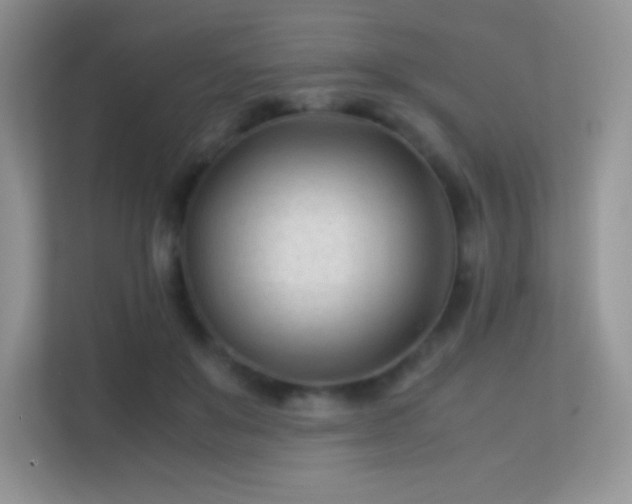 X0000113560503200909251101