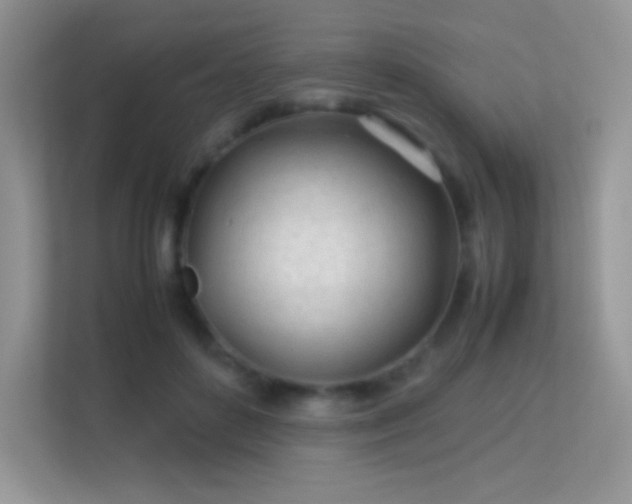 X0000113560504200909251101