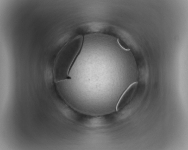 X0000113560505200909251101