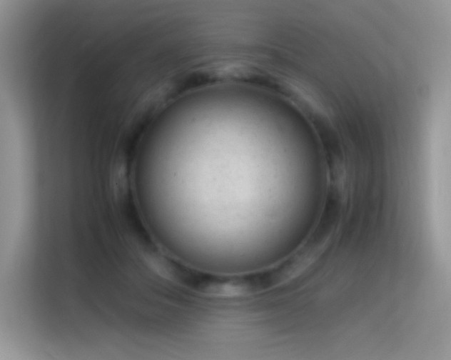 X0000113560506200909251101