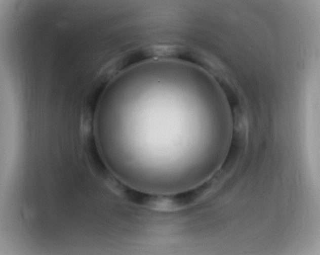 X0000113560507200909251101