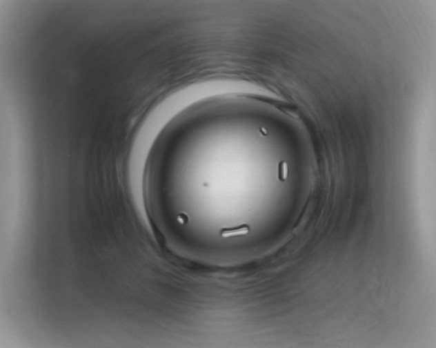 X0000113560508200909251101