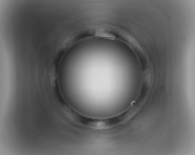 X0000113560509200909251101