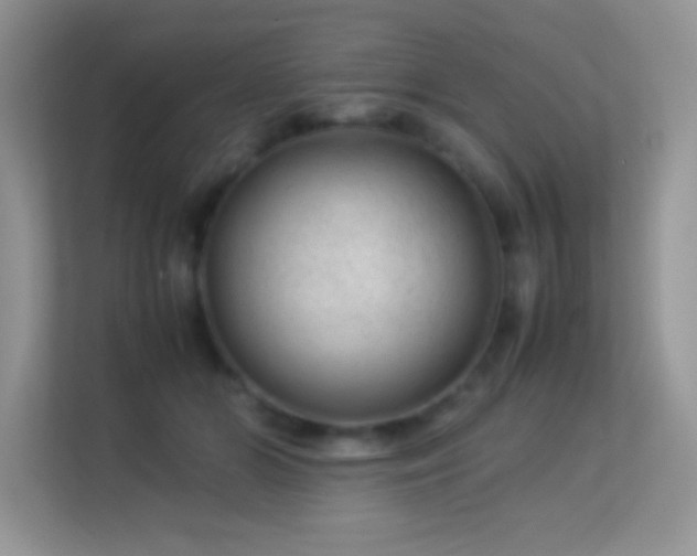 X0000113560510200909251101