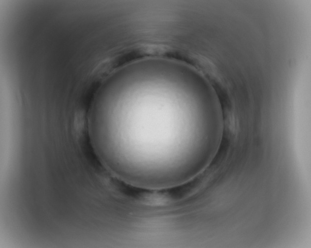 X0000113560511200909251101