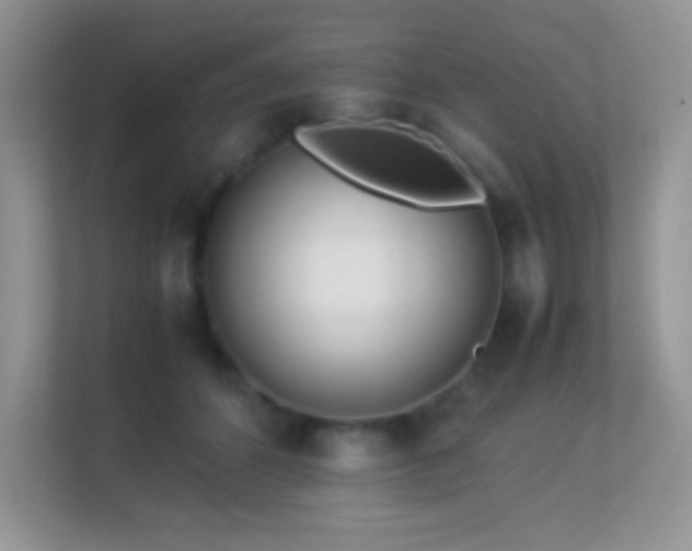 X0000113560512200909251101