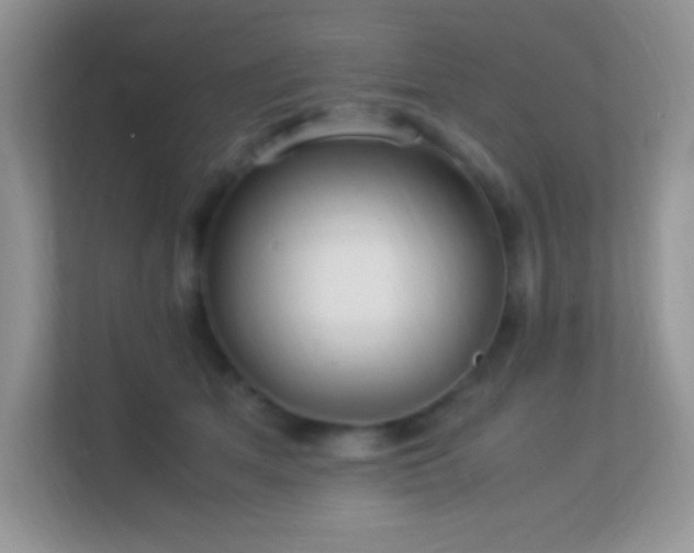 X0000113560513200909251101
