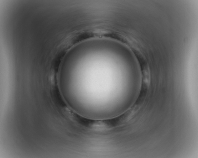 X0000113560519200909251101
