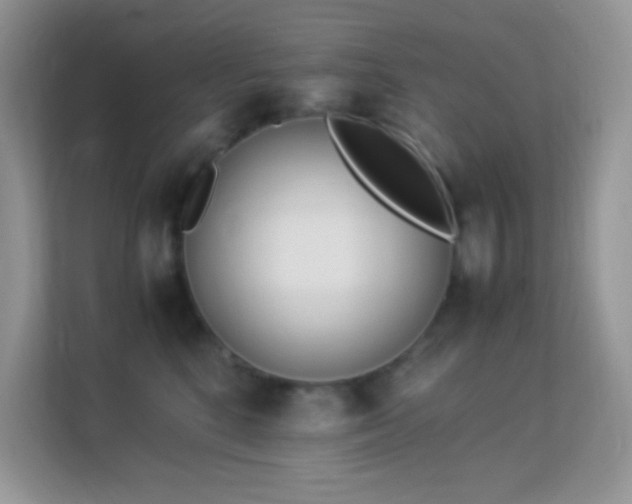 X0000113560520200909251101