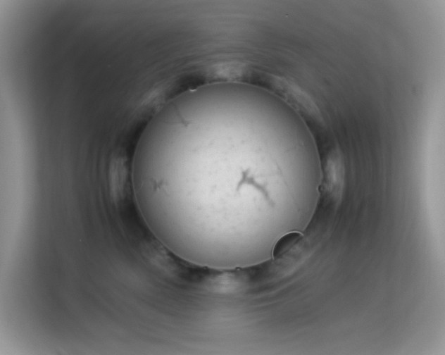 X0000113560522200909251101