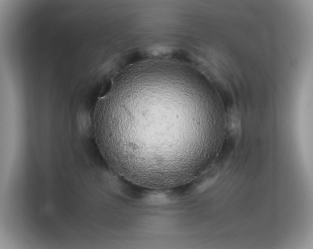 X0000113560523200909251101