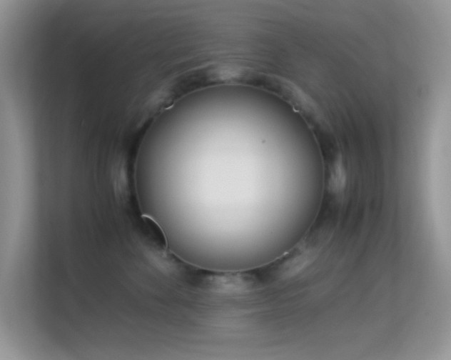 X0000113560524200909251101