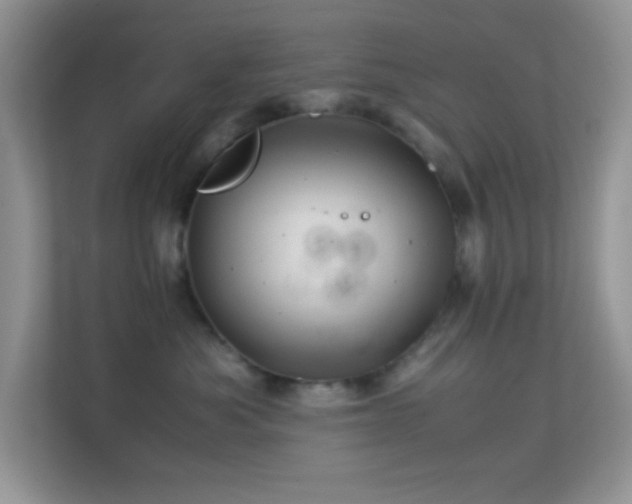 X0000113560525200909251101