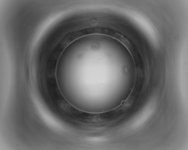X0000113560526200909251101