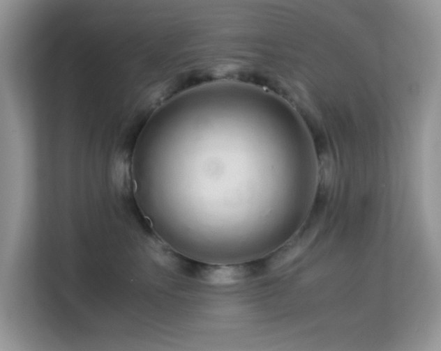 X0000113560527200909251101