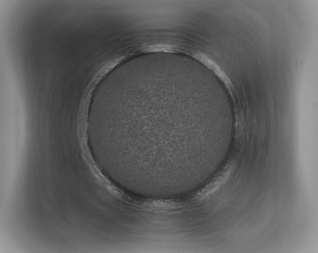 X0000113560529200909251100