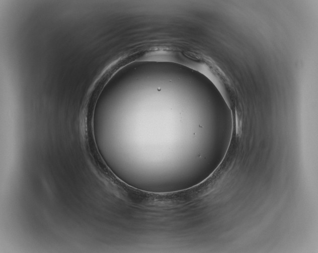 X0000113560531200909251100