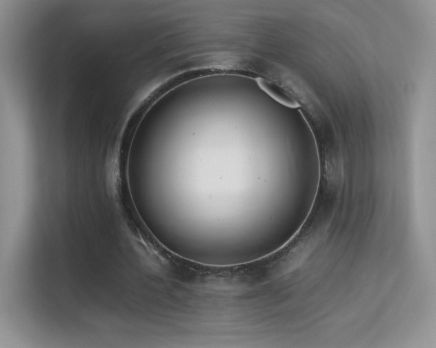 X0000113560532200909251100