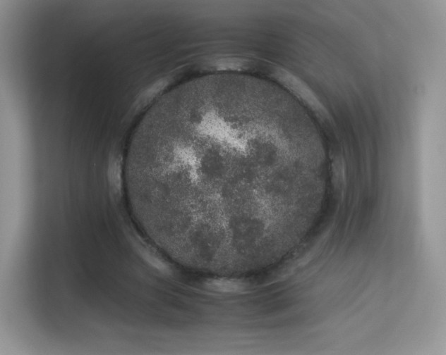 X0000113560537200909251100