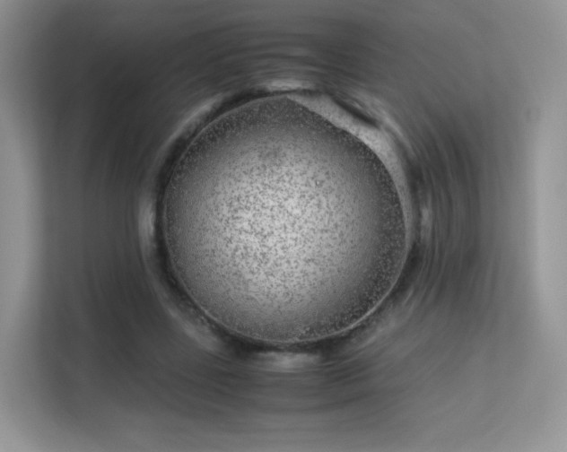 X0000113560539200909251100