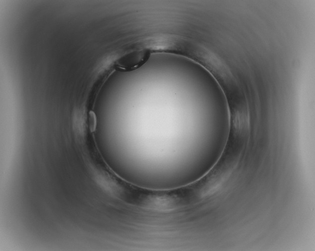 X0000113560540200909251100