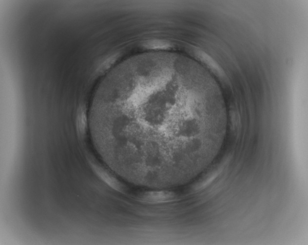 X0000113560541200909251100