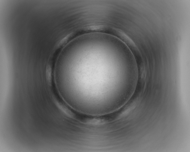 X0000113560542200909251100