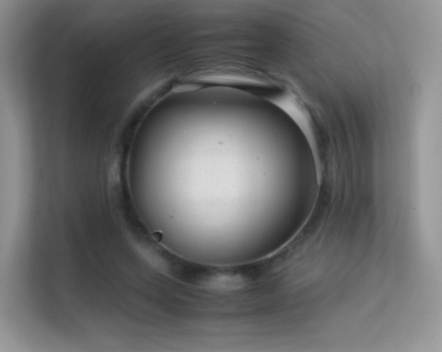 X0000113560543200909251100
