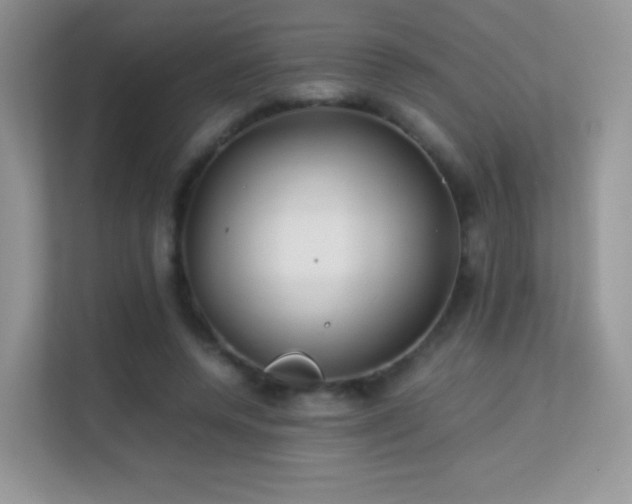 X0000113560544200909251100