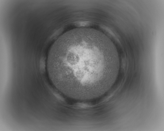 X0000113560545200909251100