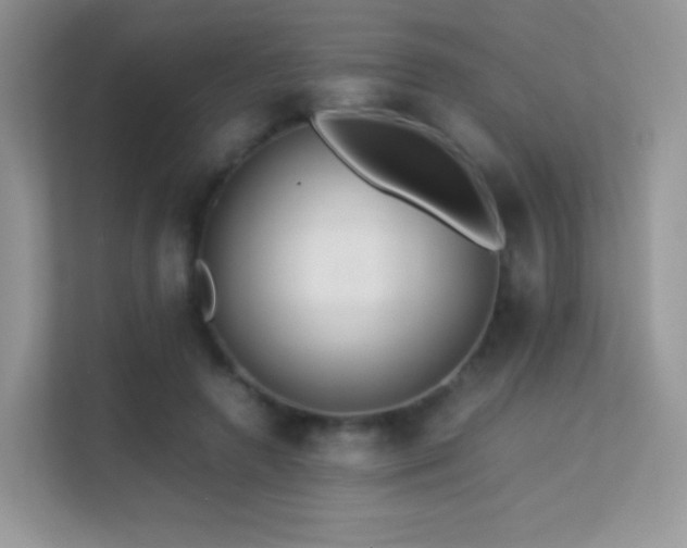 X0000113560546200909251100