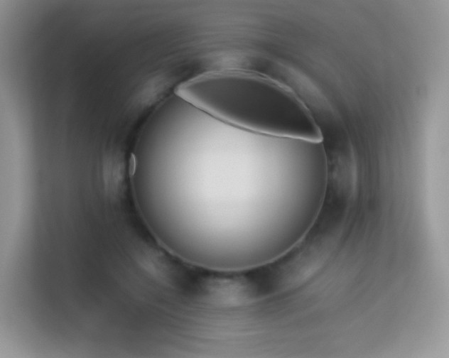 X0000113560548200909251100