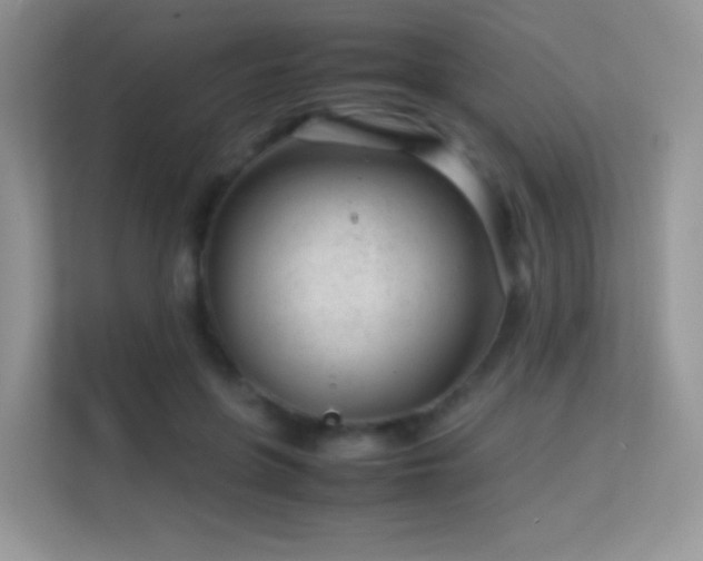 X0000113560551200909251100