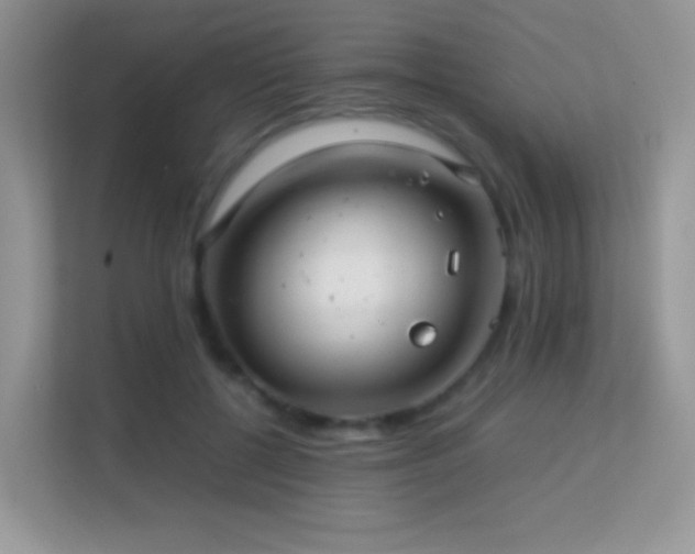 X0000113560552200909251101