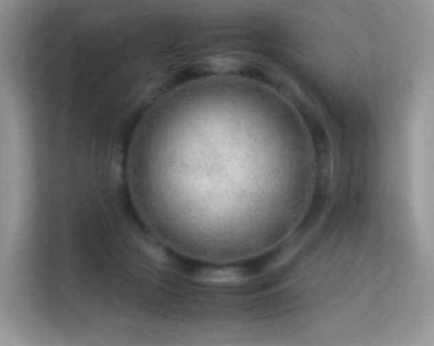 X0000113560553200909251101