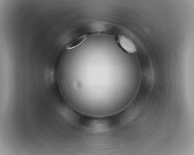 X0000113560556200909251101