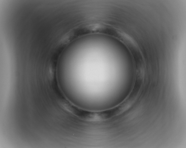 X0000113560558200909251101
